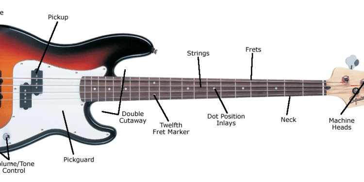 Bass Guitar VS Electric Guitar