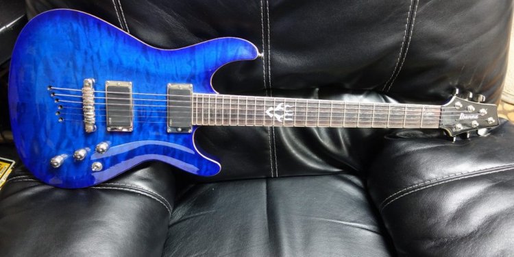 Electric Guitar pickups Reviews