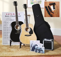 esteban guitar - estaban electric guitar