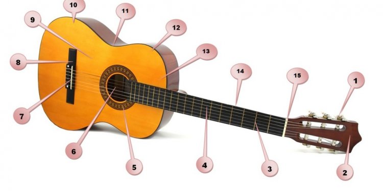 Electric Guitar Parts and functions