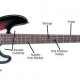 Bass Guitar VS Electric Guitar
