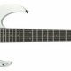 Electric guitar brands list