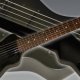 Smallest Electric Guitar