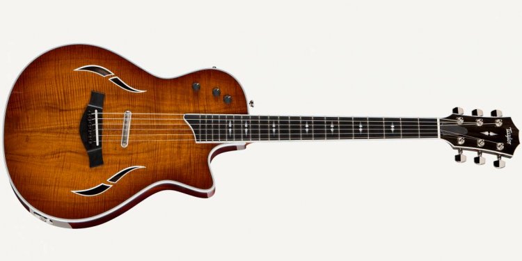 Acoustic Electric Hybrid Guitars