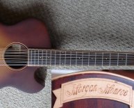 12 String Acoustic Electric Guitar Reviews