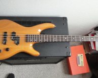 Alvarez Electric Bass Guitars