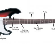 Bass Guitar VS Electric Guitar
