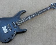 Brands of electric Guitars