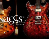 Buy Electric Guitar Cases