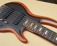 Electric Bass Guitar Parts