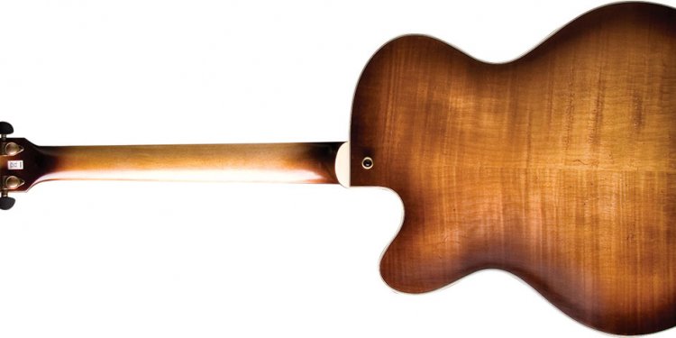 Washburn Hollow Body Electric Guitars